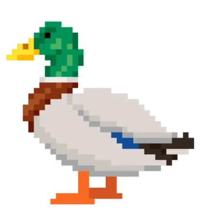 duck